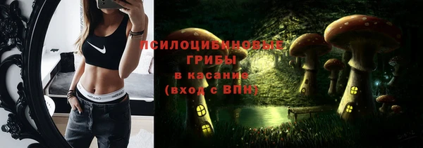 молекула духа Алзамай