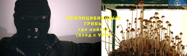 героин Алексин