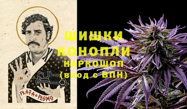 дживик Ветлуга
