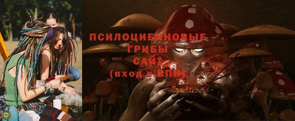 героин Алексин