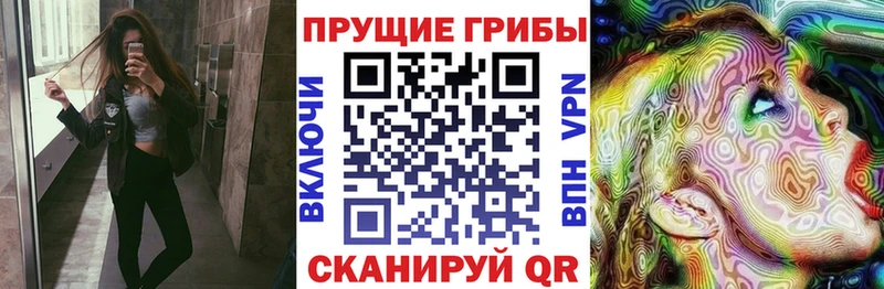 Галлюциногенные грибы ЛСД ОМГ ОМГ рабочий сайт маркетплейс Telegram купить сайты Полярные Зори